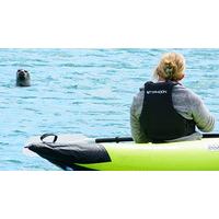 Seal Watching in Oban, Scotland