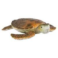 sea turtle wwf