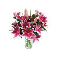 Sensation Lilies