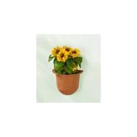 Self Watering plant pot, for walls or window ledges