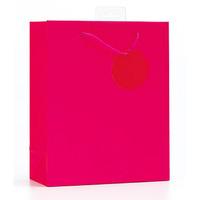 Se Finishing Touch Single Colour Medium Gift Bags - Cerise