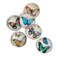 Set of 6 Butterfly Magnets