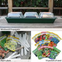 Seed Starter Kits - Gift - 1 x Standard Vegetable Seed Kit