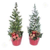 Set of 3 Tabletop Snowy Christmas Trees 25cm tall