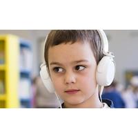 Sensory Processing Disorder Awareness Audio Online Course