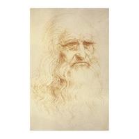 Self Portrait By Leonardo da Vinci