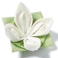 Seerose Origami Dinner Napkins Green & White 40cm (Pack of 12)