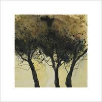 Seasonal Trees III By Susan Brown