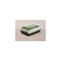 Seedling tray, self-irrigating, 12 cells Vitavia