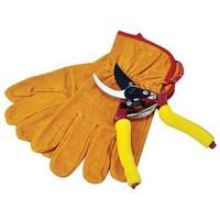 secateurs amp gloves set