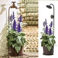 Set of 2 Vonia Pots (1 of each style) with Salvia Seascape Plants
