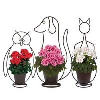 Set of 3 Animal Planters 1 of each style with Zonal Geranium Plants