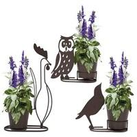 Set of 3 Bird Planters with Salvia Seascape Plants