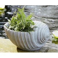 Seashell Planter