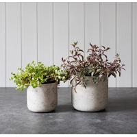 set of 2 stratton straight plant pots in stone by garden trading