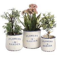 Set Of Three Ceramic Flowers And Garden Planters.
