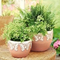 Set of 2 Butterfly Pots