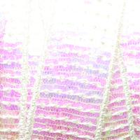 Sequin Trim 21mm x 14m - Mother of Pearl