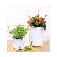 Self-Watering House Plant Pots, White (2)