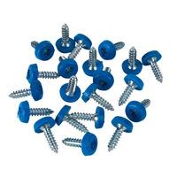 sealey ptnp4 number plate screw plastic enclosed head 48 x 18mm 