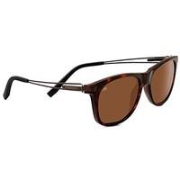 serengeti pavia sunglasses shiny dark tortoise medium