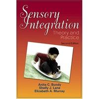 sensory integration theory and practice