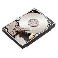 Seagate 1TB 64MB 7200RPM SAS 6Gb/s Refurbished, ST1000NM0001 (Refurbished)