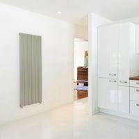 Seren ÉGALRAD Type 10 Single Designer Panel Radiator Champagne (H)1800 (W)433mm