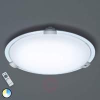 Select luminous colour LED ceiling light Yokohama