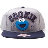 Sesame Street Embroidered Cookie Monster Since 1966 Unisex Snapback Baseball Cap One Size Grey/blue (sb0srzses)