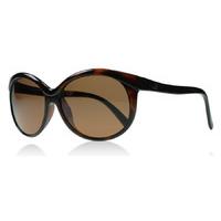 serengeti caterina sunglasses tortoiseshell