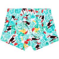 Seafolly Multicolored Kids Short Touci Frutti girls\'s Children\'s shorts in Multicolour