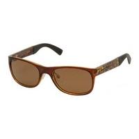 Serengeti Sunglasses Piero Polarized 7635