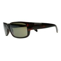 Serengeti Sunglasses Merano 7422