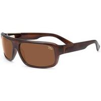 Serengeti Sunglasses Matteo 7372