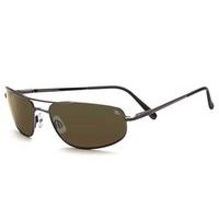 serengeti sunglasses velocity polarized 7494