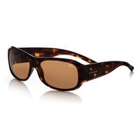 Serengeti Sunglasses Savona 7065