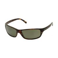 Serengeti Sunglasses Pisa Polarized 7525