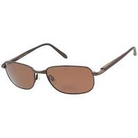 Serengeti Sunglasses Avena 7385