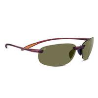 Serengeti Sunglasses Nuvino Polarized 8445