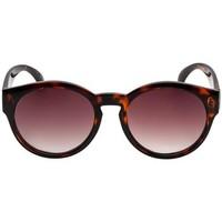 Seafolly Sunglasses Havana Dark Tort women\'s Sunglasses in brown