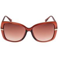 Seafolly Sunglasses Cayman Tan women\'s Sunglasses in brown