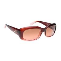 Serengeti Sunglasses Bianca 8090