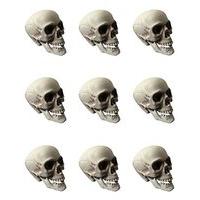 set of 9 skulls in bag 5cm accessory for halloween living dead fancy d ...