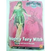 Sexy Fairy Witch Fancy Dress Halloween Costume 16-18