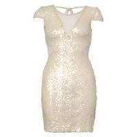 Sequin Bodycon Dress with Mesh Insert