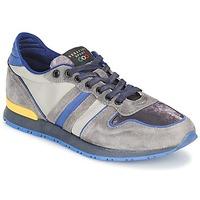 Serafini V8 men\'s Shoes (Trainers) in grey