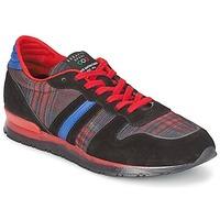 Serafini V8 men\'s Shoes (Trainers) in Multicolour