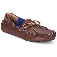 Sebago KEDGE TIE men\'s Loafers / Casual Shoes in brown