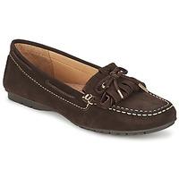 Sebago MERIDEN KILTIE women\'s Loafers / Casual Shoes in brown